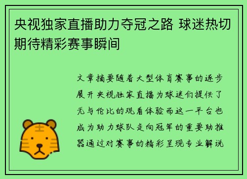 央视独家直播助力夺冠之路 球迷热切期待精彩赛事瞬间